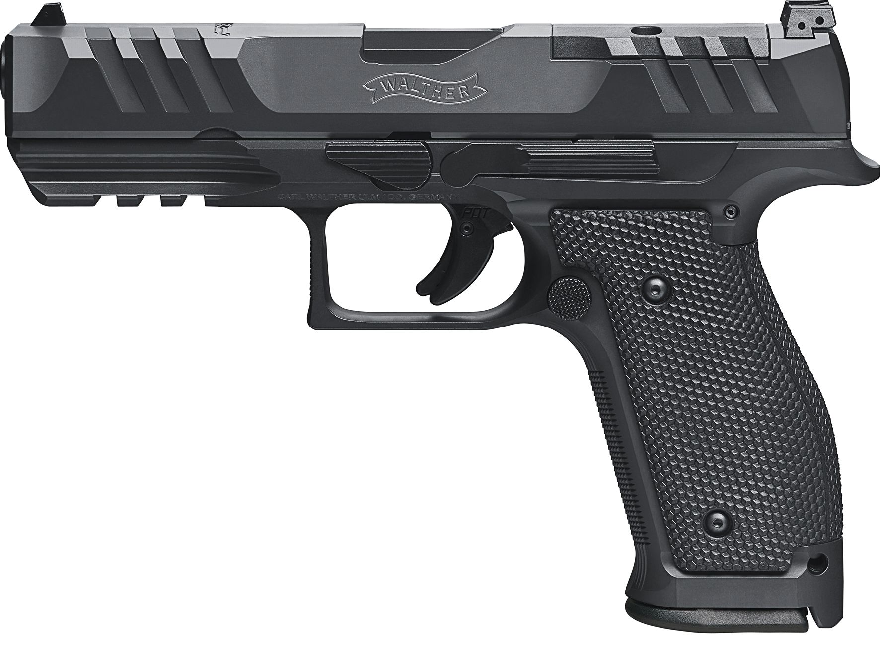 2872293 PDP SF FS 4,5 1a Kopie LR.jpg